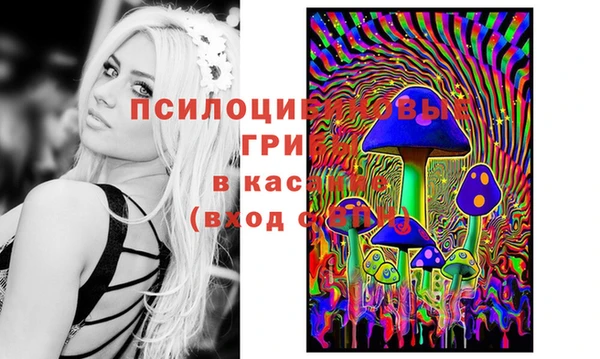твердый Алзамай