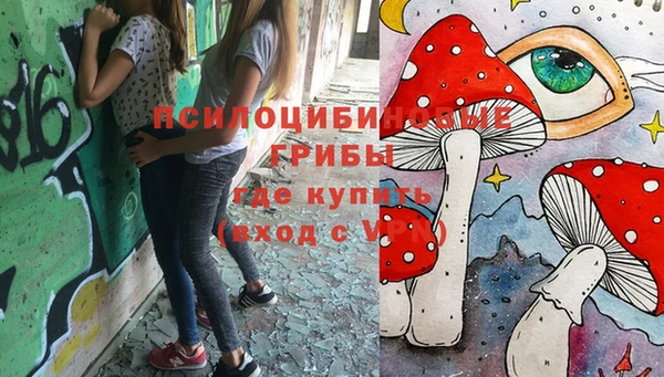 твердый Алзамай