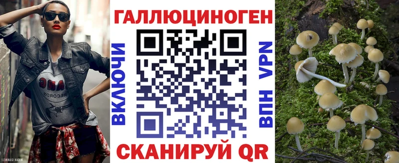 блэк спрут маркетплейс  Липки  Псилоцибиновые грибы GOLDEN TEACHER 